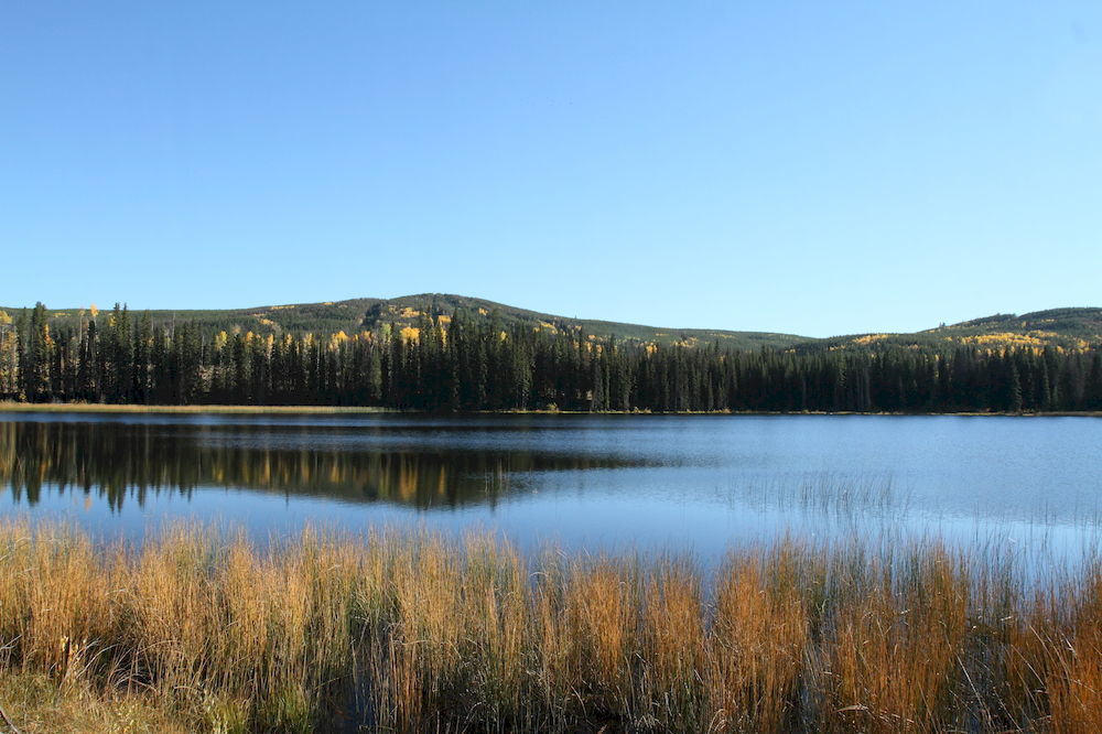 Lac Le Jeune Resort & Nature Centre Kamloops Exteriér fotografie